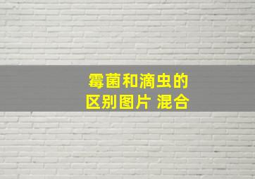 霉菌和滴虫的区别图片 混合